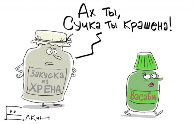 Свежее от Ёлкина