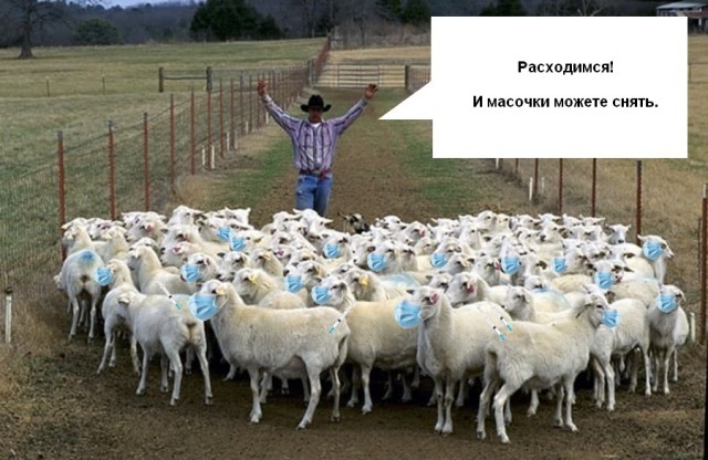 Апокалипсис 2022+