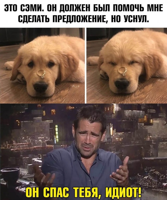 Чуток картинок 04.02.22