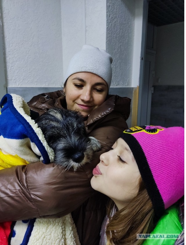 А это моё новое чудо