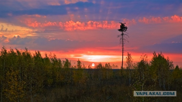 Рассветы. Закаты. Фото
