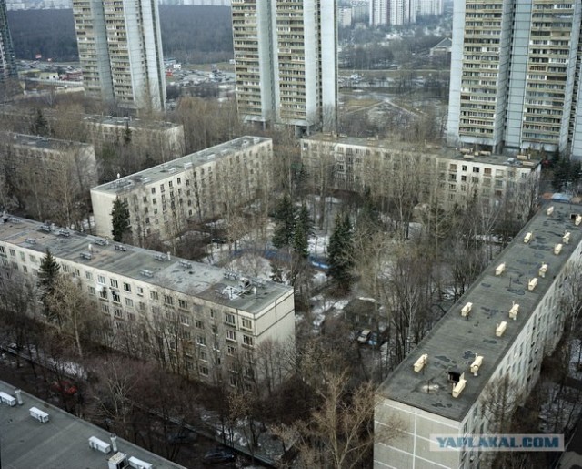 Умиротворённости пост
