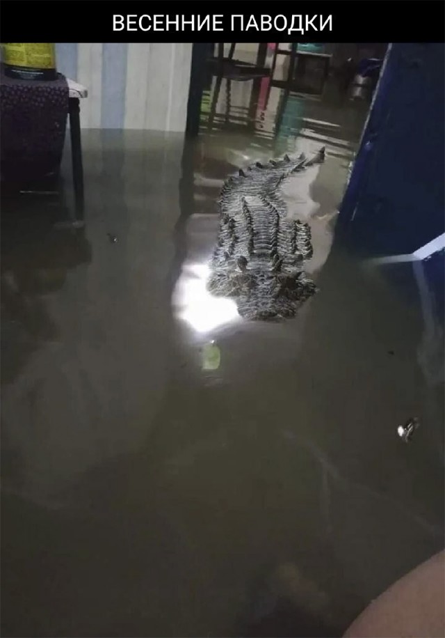 В Пермском крае своя атмосфера⁠⁠