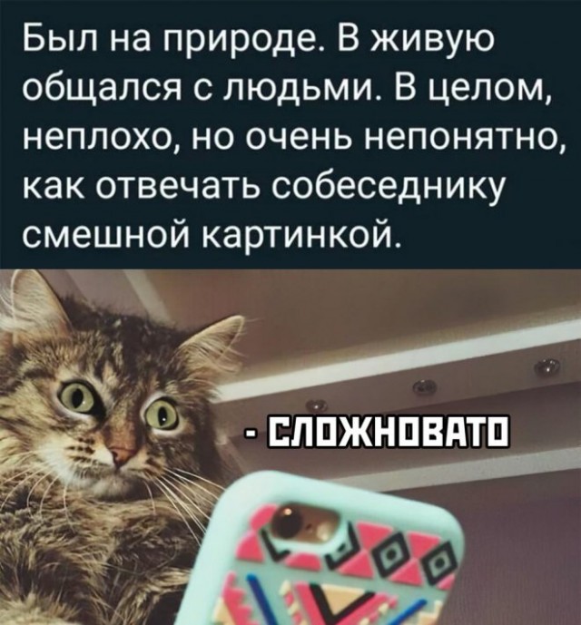 Картинки и мемы для настроения - 15