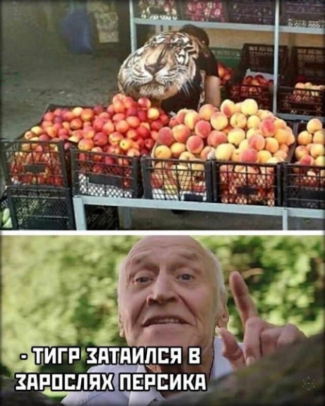 Картинки и мемы. Выходные близко, близко...
