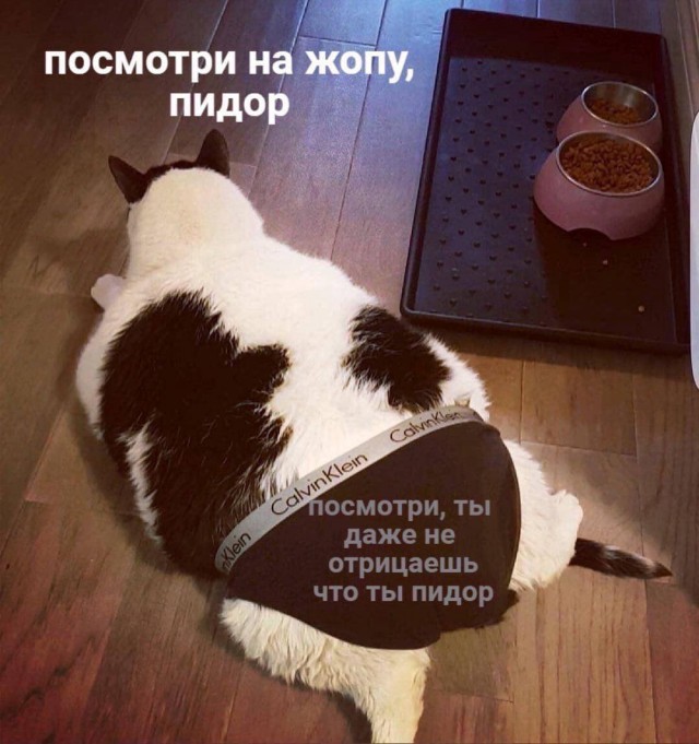 И я туда же!