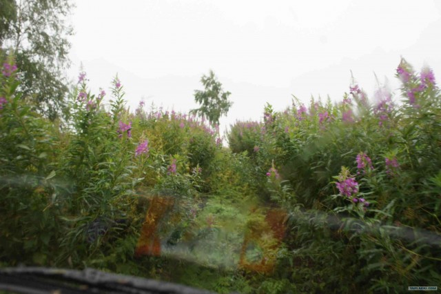 Экспедиция Тамбов-Карелия (бесов нос).