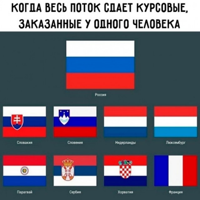 Весёлый полтишок 26.12.2022