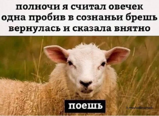 Картинки и мемы, всем хороших выходных