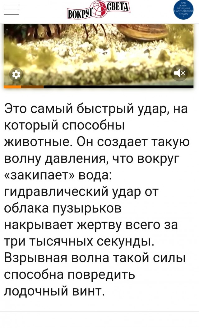 15 фактов, которые еще раз доказывают, что животным есть чем нас удивить