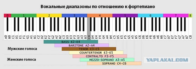 Исполнение в 4 октавы