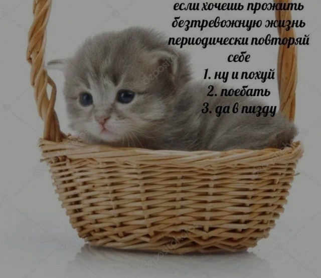 Картинки и мемы для настроения - 181