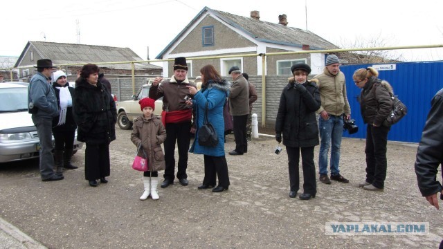Крым в феврале или "Не стреляйте в белых лебедей!"