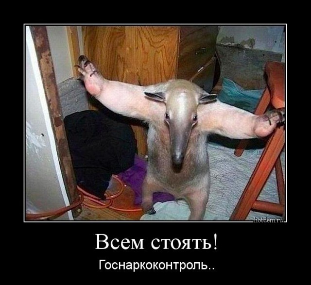 Национальная женская парадная и полевая одежда сотрудниц милиции