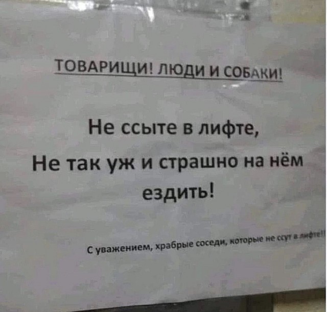 Весёлый полтишок 03.09.23