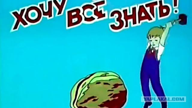 В одной из российских школ трудовик отнял вейп у зумера и уничтожил его кувалдой