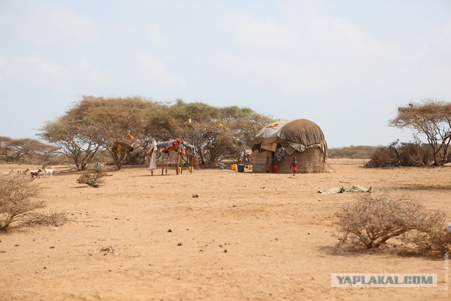 Сомалиленд.