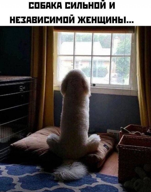 Народная меДИЧина 9010