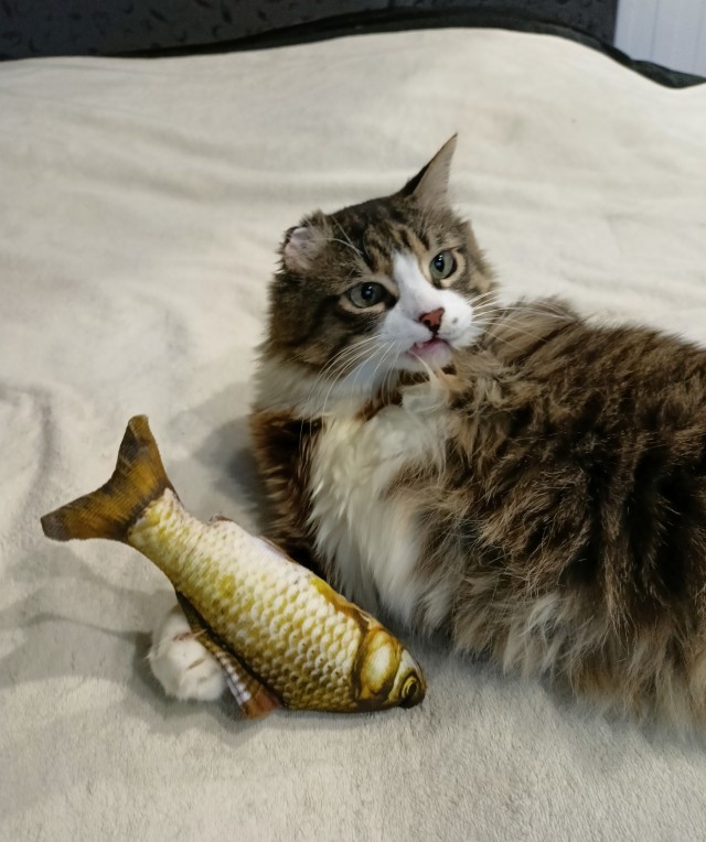 Рыбов подарили