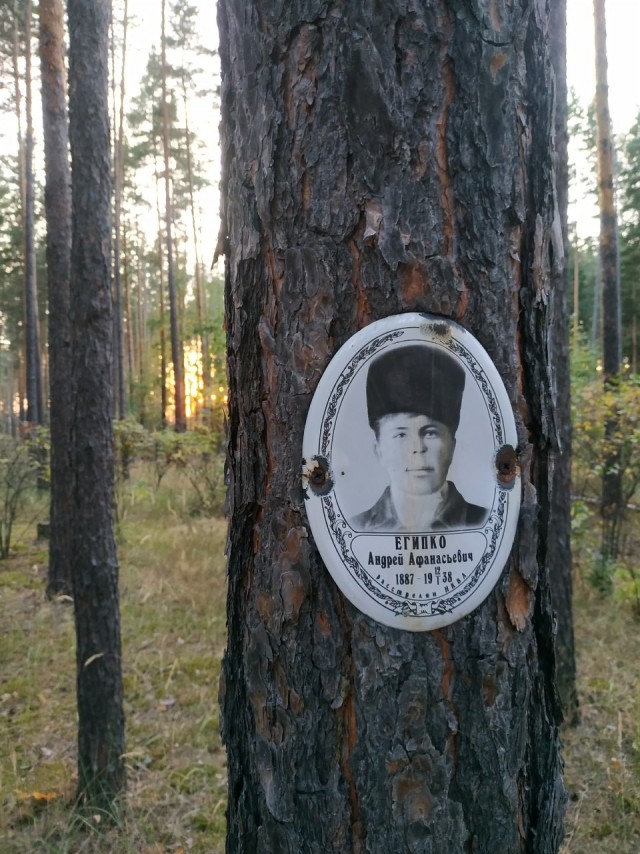 Полигон НКВД в Воронеже