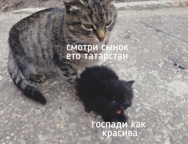 С праздничком: 8 апреля 2024 года, понедельник, Международный день цыган