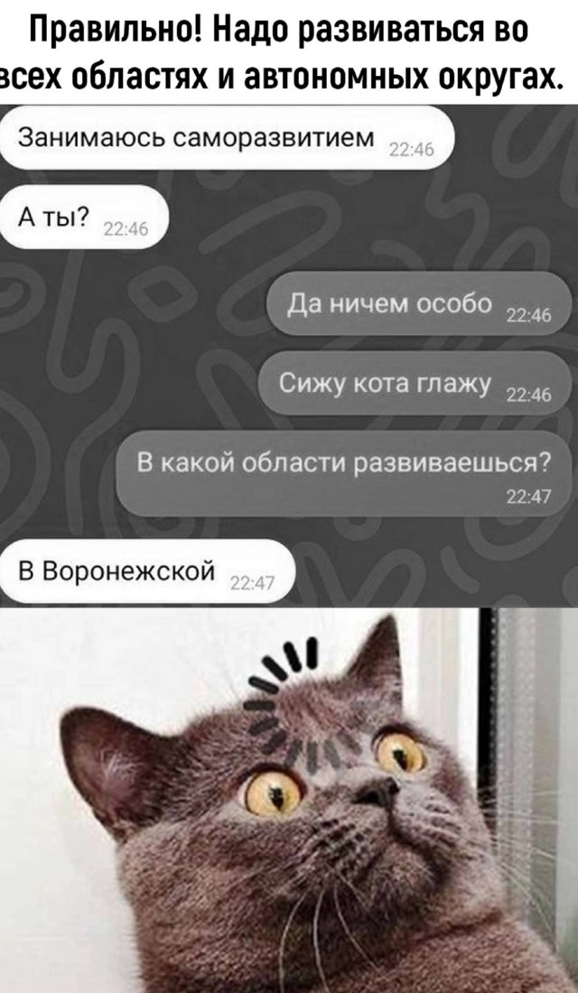 Никакие картинки и такие же тексты