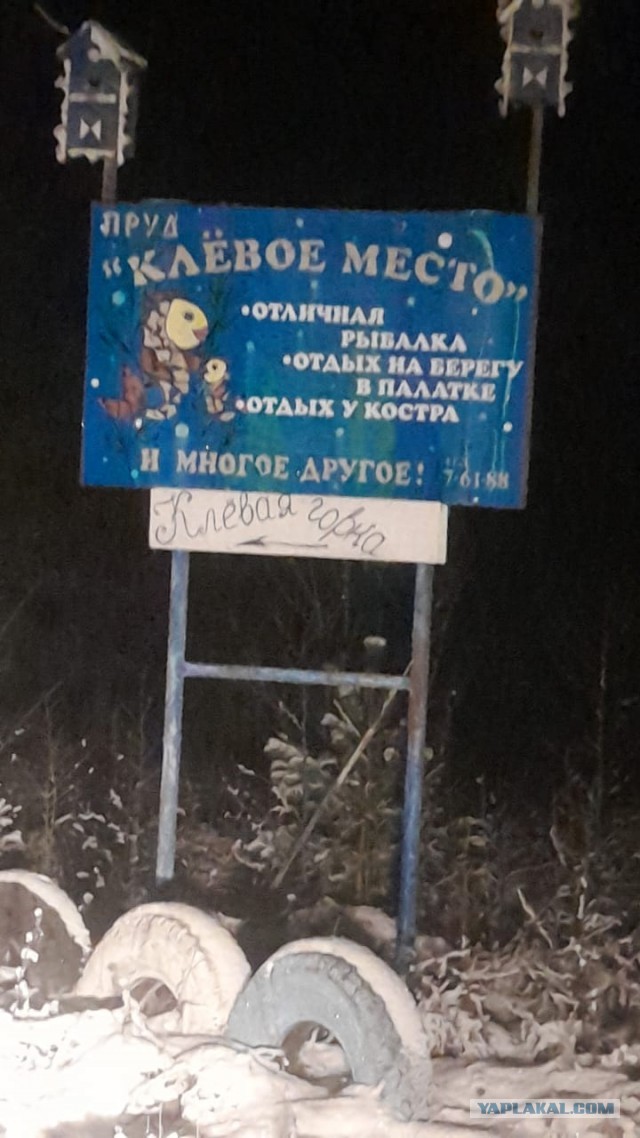 Невеселые картинки (2)