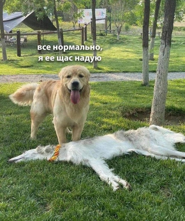 Отряд быстрого деградирования