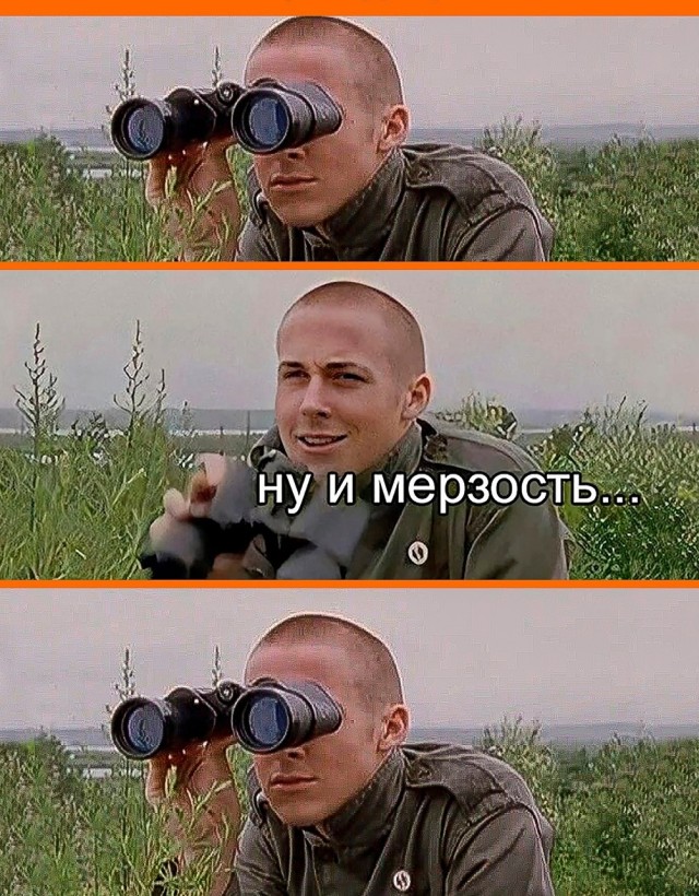 Котовторник!