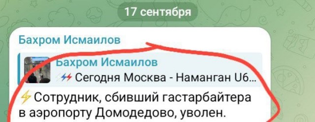 Сообщают об увольнении сотрудника аэропорта Домодедово, который заступился за девушек
