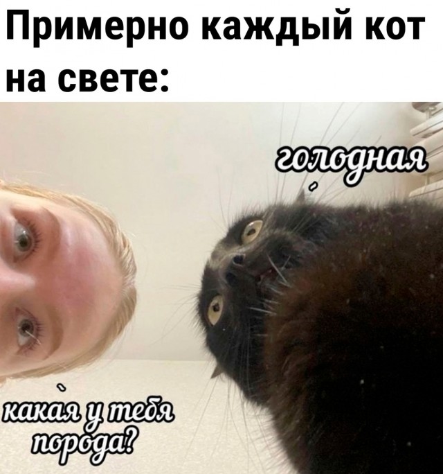 Так себе картинки 20.10.24