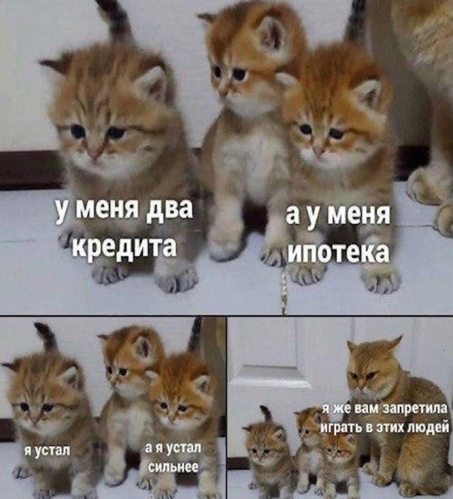 Так себе картинки 27.10.24
