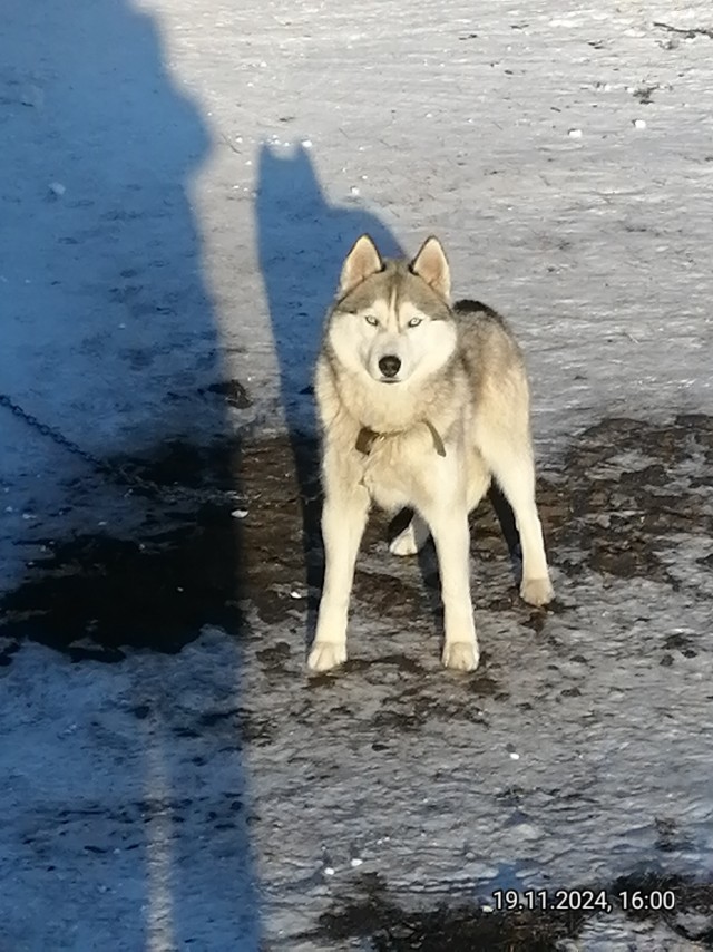 Четверговое