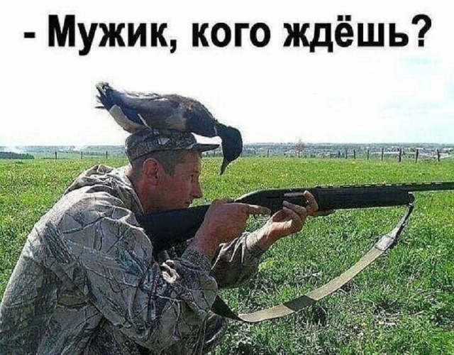 Так себе картинки 15.03.25