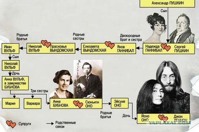 Немного бесполезной инфографики
