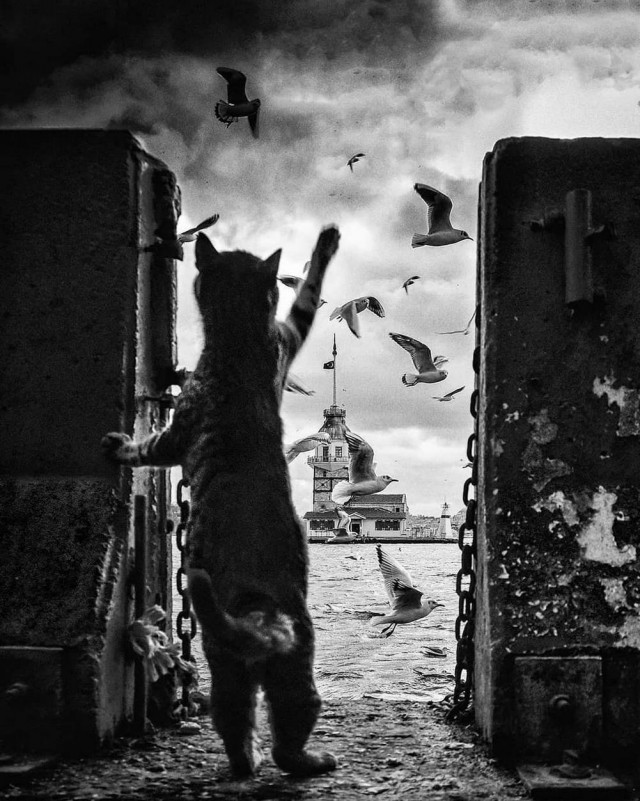 Прикольные и просто красивые картинки 04.04.2025