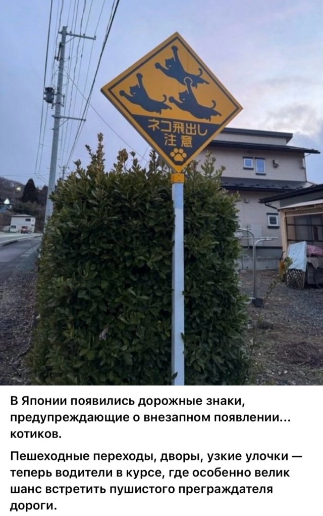 Так себе картинки 03.05.25