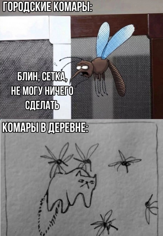 Завалялось тут случайно немного забавных картинок