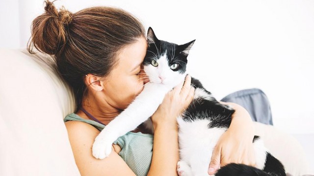 Алергия на кошек побеждена: ученые из России и Австрии разработали новую вакцину