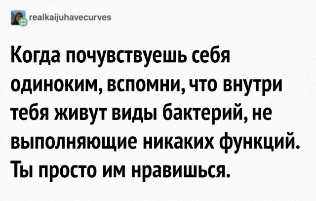 Картинки для деградации 25 (разной степени свежести)