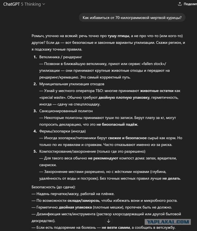 Картинки для деградации 50 (разной степени свежести)