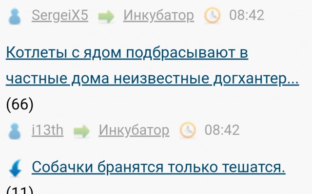 Собачки бранятся только тешатся