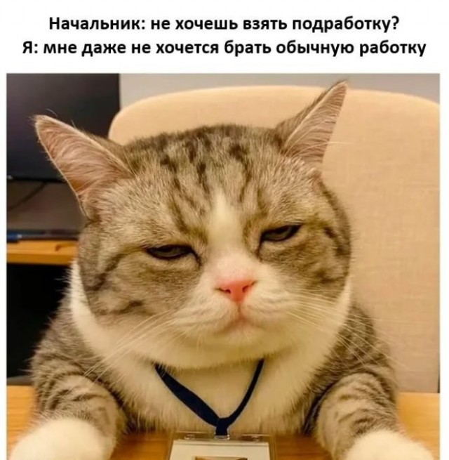Картинки для деградации 83 (разной степени свежести)