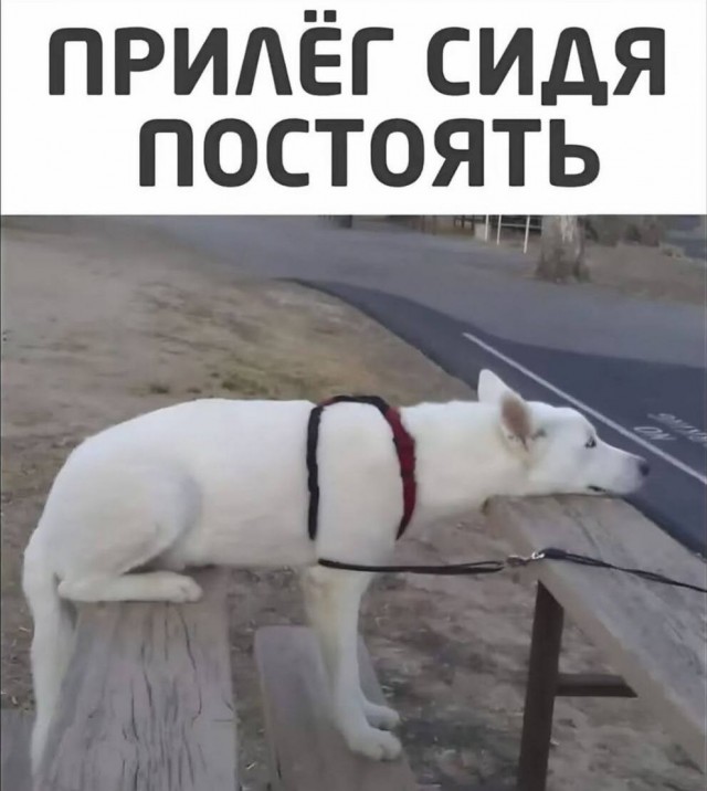 Картинки для деградации 112 (разной степени свежести)