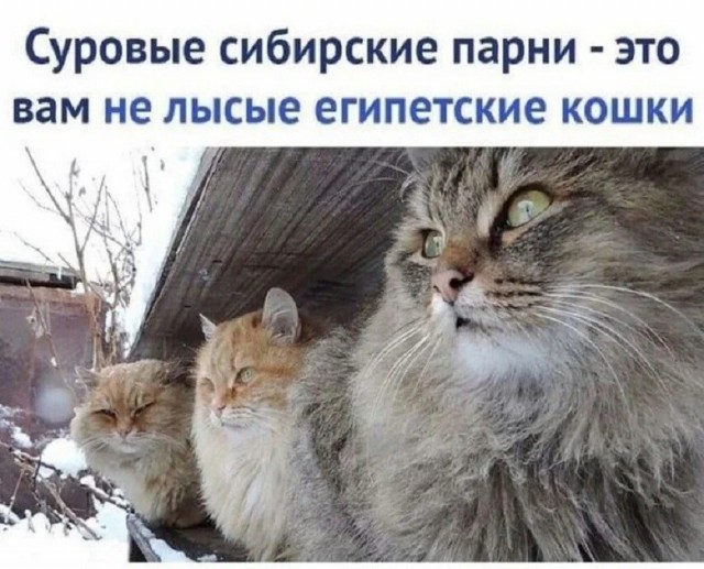 Так себе картинки 18.08.26