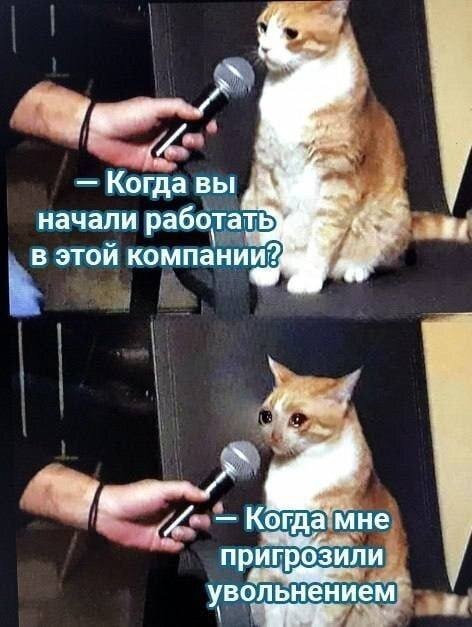 Нашёл методичку постсоветского времени для начальников.