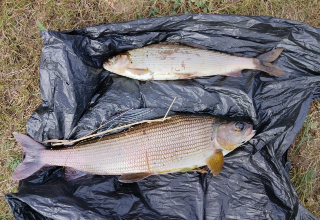 И опять про рыбалку