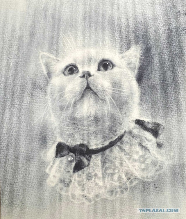 Рисунки животных. Продолжение.