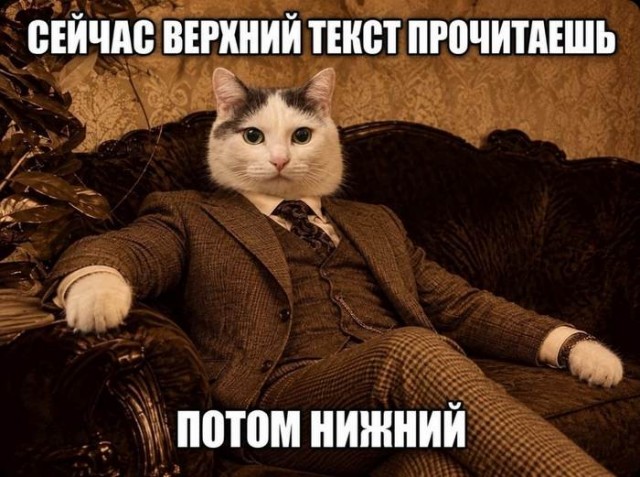 Картинки для деградации 307 (разной степени свежести)