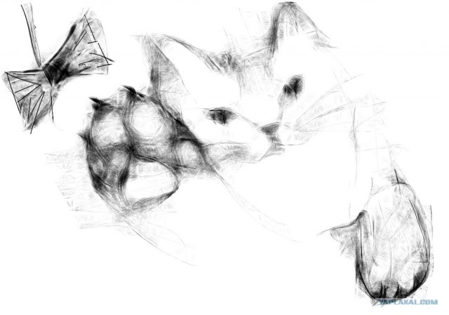Рисовалка